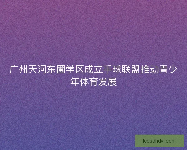 广州天河东圃学区成立手球联盟推动青少年体育发展 广州天河东圃学区成立手球联盟推动青少年体育发展