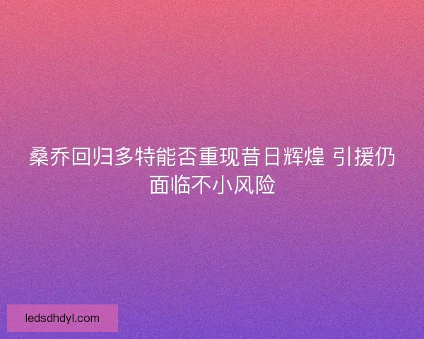 桑乔回归多特能否重现昔日辉煌 引援仍面临不小风险 桑乔回归多特能否重现昔日辉煌 引援仍面临不小风险